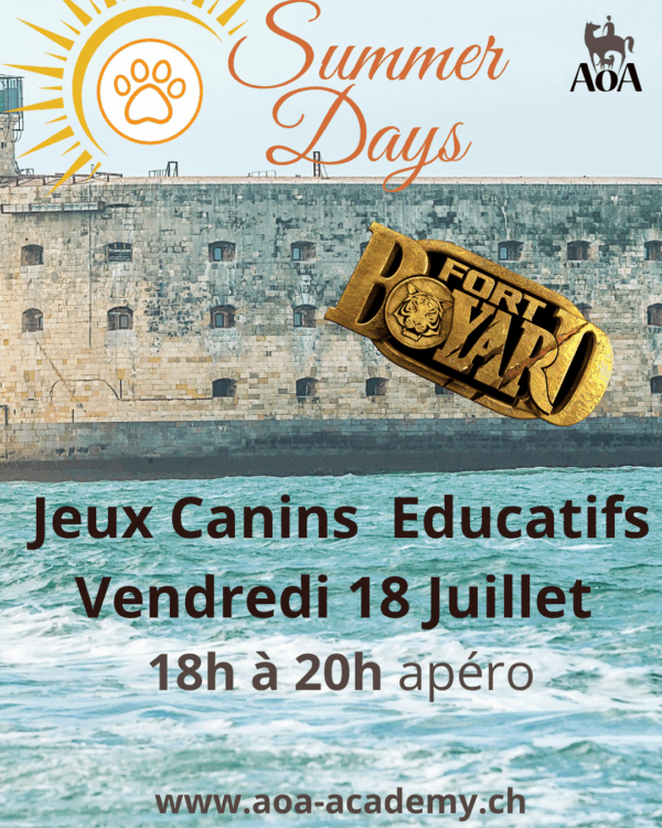Fort Boyard