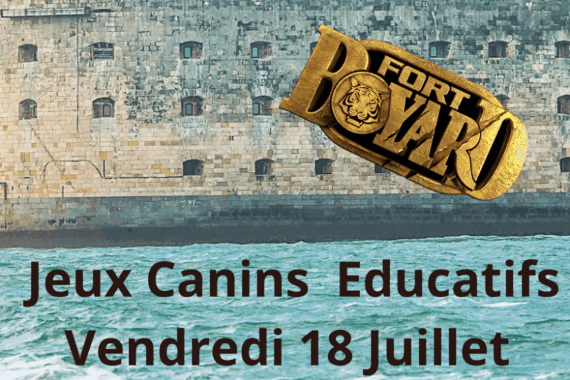 18.07 18-20h Fortboyard