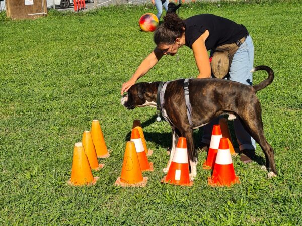 Forfait élèves en Formation