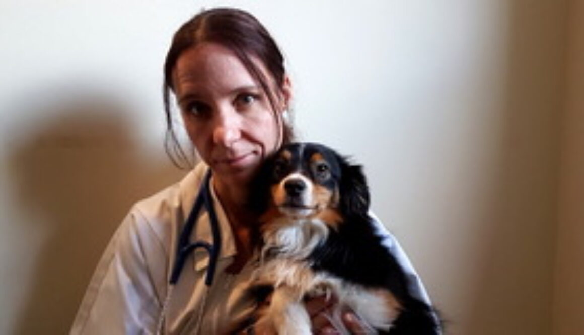 Ariane Maillard - équipe AoA academy, éducation canine et formation professionnelle, Genève