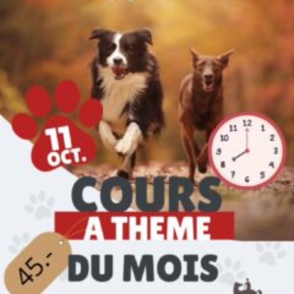 Cours à thème du mois d'octobre