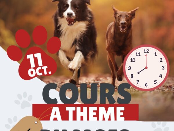 Cours à thème du mois d'octobre