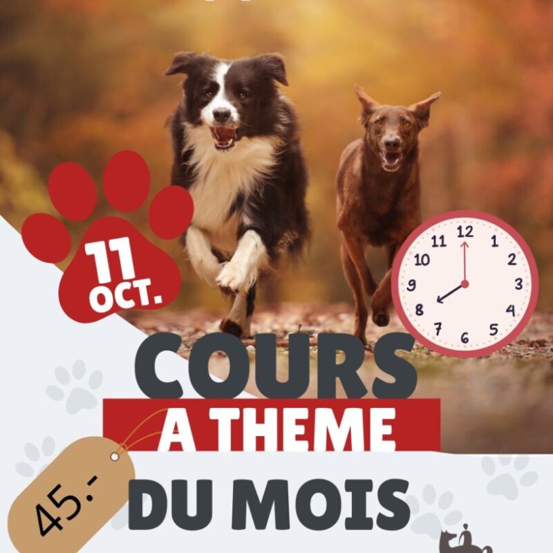 Copie de Ajouter un titre (Publication Instagram (4:5)) - 1