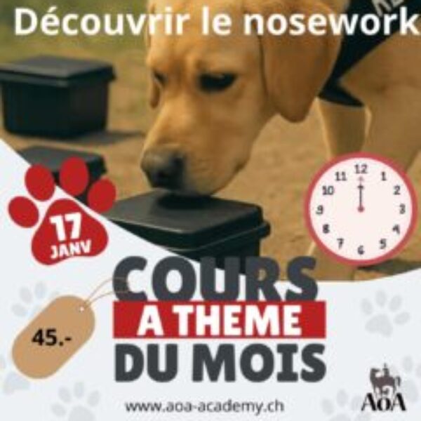 Cours à thème du 17 janvier 2026 Cours à thème du 17 janvier 2026