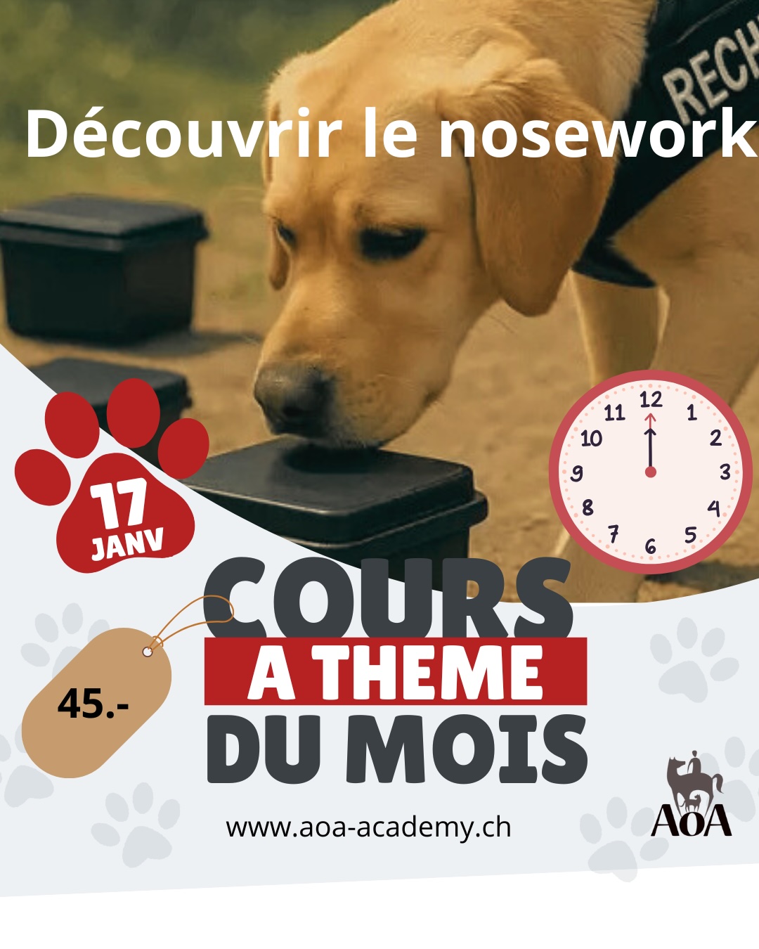 Cours à thème du 17 janvier 2026