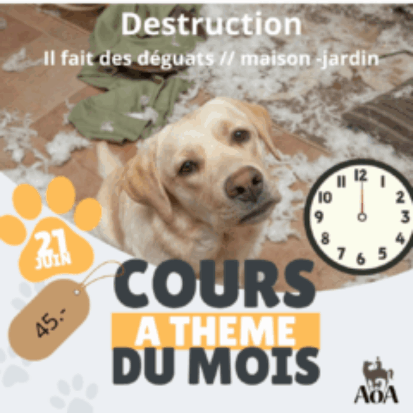 Cours à thème du mois de juin