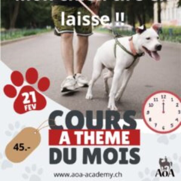 Cours à thème du 21 février 2026 Cours à thème du 21 février 2026