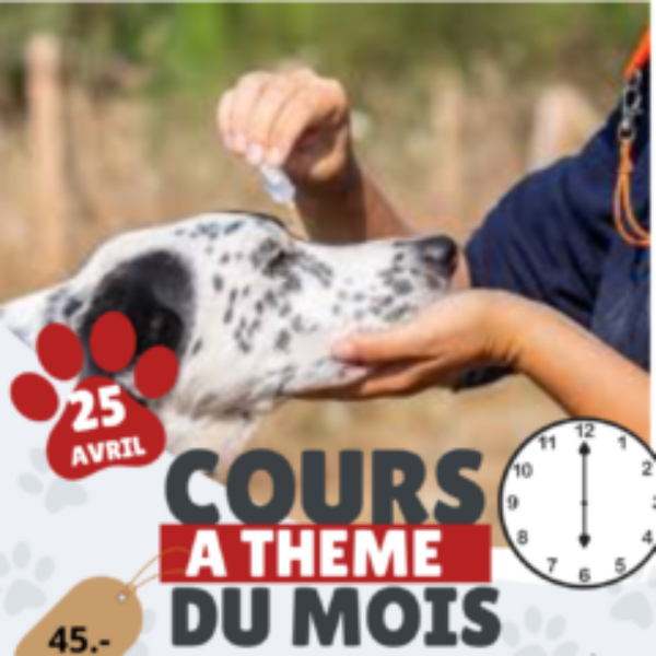Cours à thème du 25 avril 2026