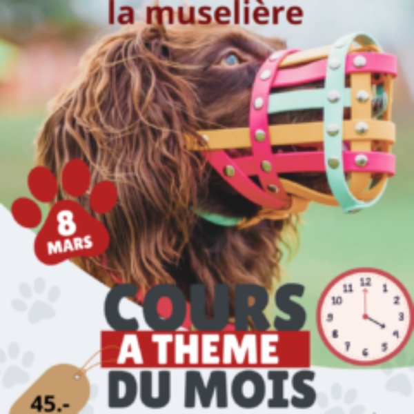 Cours à thème du 8 mars 2026