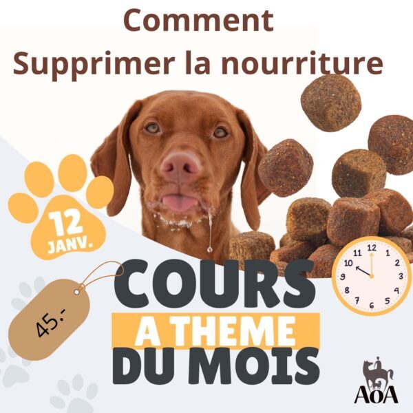 Cours à thème du mois - janvier 2025