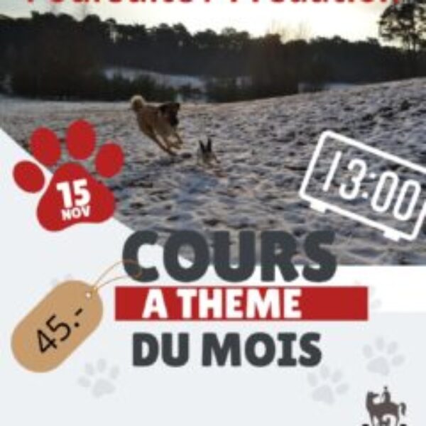 Cours à thème du mois de novembre