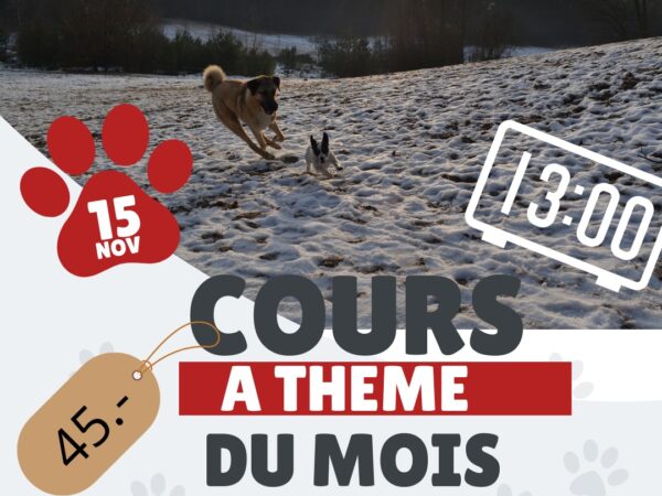 Cours à thème du mois de novembre
