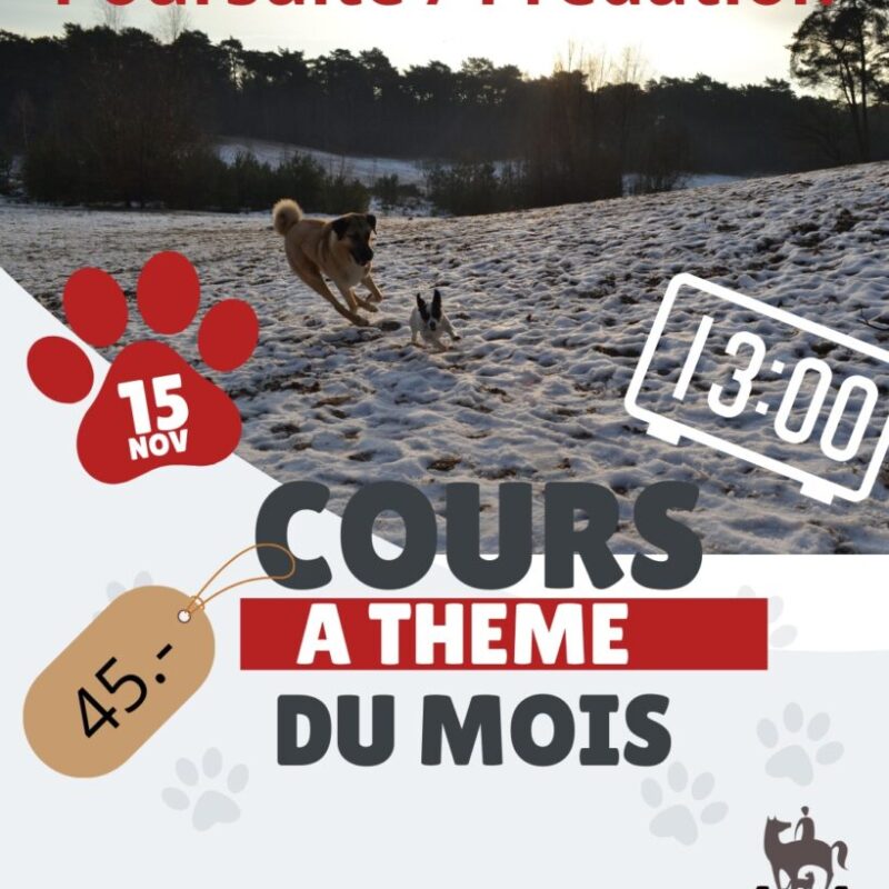 Copie de 15 (Publication Instagram (4:5)) - 2