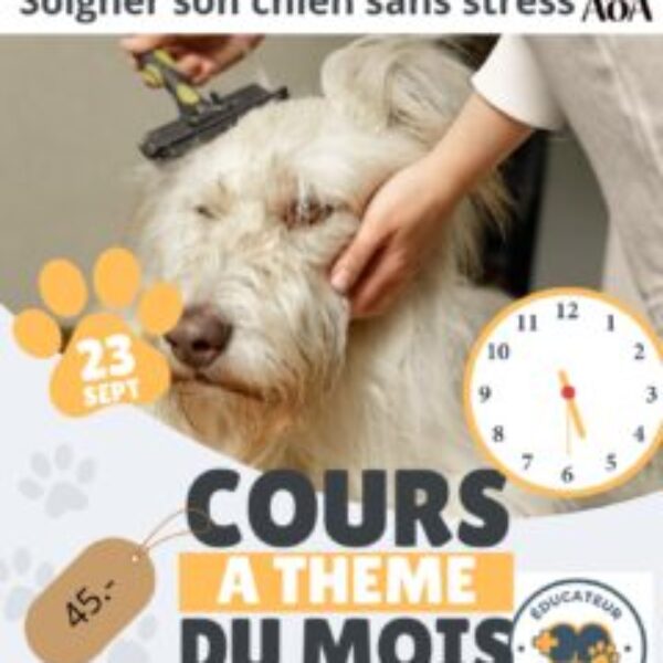 Cours à thème du mois de septembre