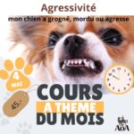 Cours à thème du mois - mai 2025