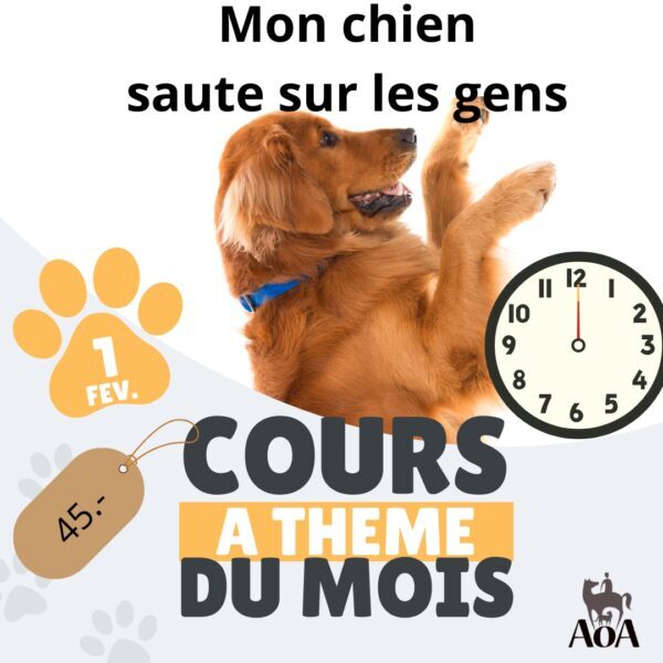 Cours à thème du mois - février 2025