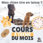 Cours à thème du mois - mars 2025