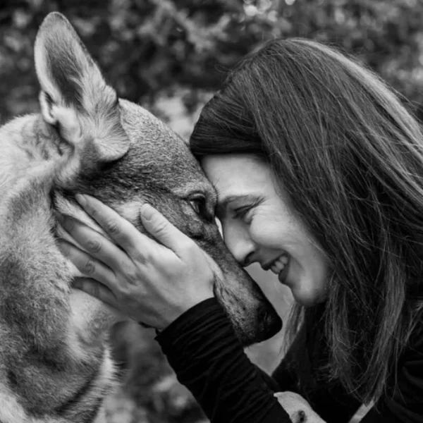 Les problèmes de comportements liés à la séparation chez le chien