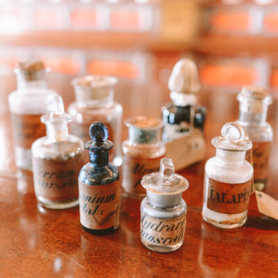 Médecine comportementale vétérinaire - AoA formation - Formation professionnelle en éducation canine, éducation canine pour particuliers, garderie pour chiens.