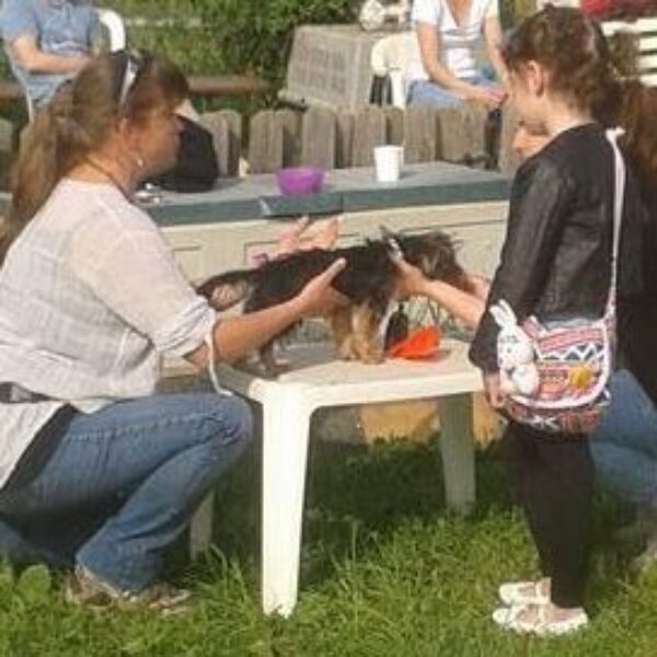 Soins coopératifs Soins coopératifs, perfectionnement (E1)