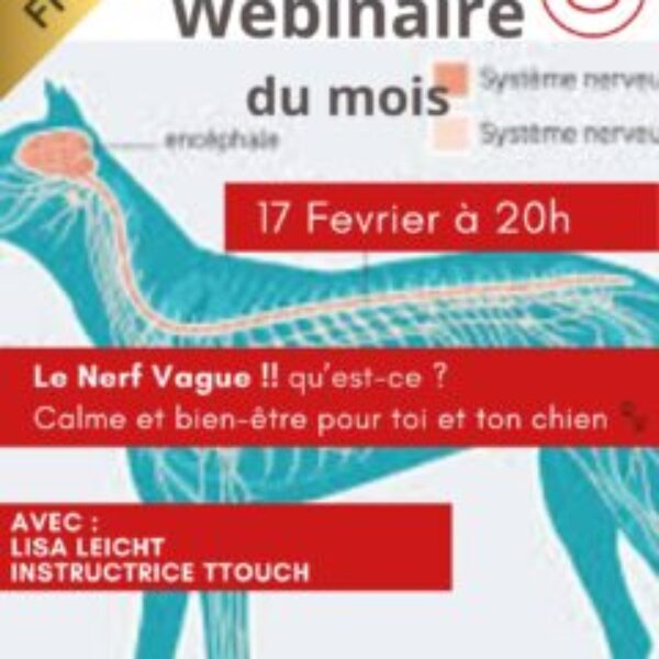 Webinaire du 17 février 2026 Webinaire du 17 février 2026