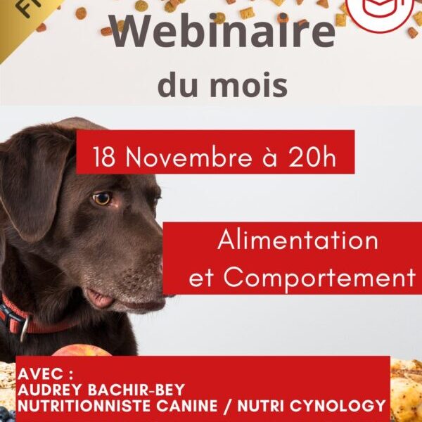 Webinaire du 18 novembre