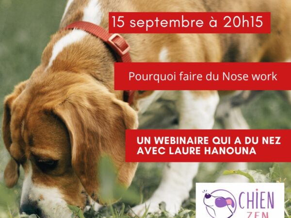 Webinaire du 15 septembre 2026