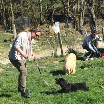 Prévention chiot - AoA formation - Formation éducateur canin - Formation professionnelle en éducation canine, éducation canine pour particuliers, garderie pour chiens.