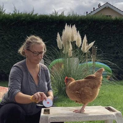Clicker poules - AoA formation - Formation professionnelle en éducation canine, éducation canine pour particuliers, garderie pour chiens.