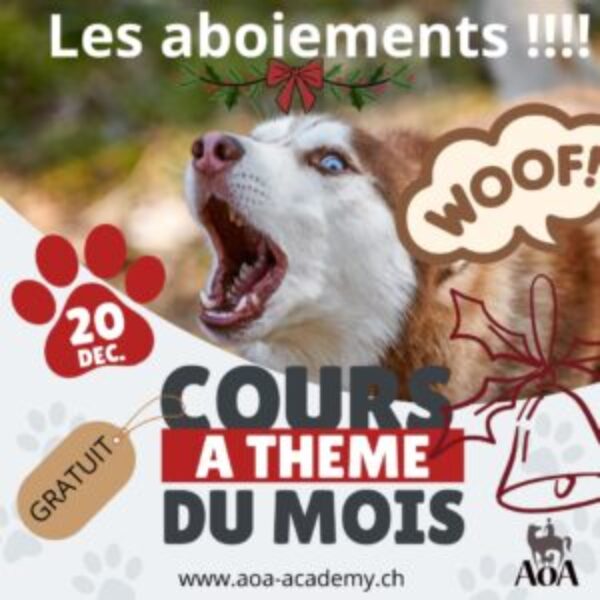 Cours à thème du mois de décembre