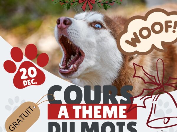 Cours à thème du mois de décembre