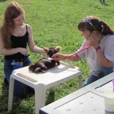 Medical Training - AoA formation - Formation professionnelle en éducation canine, éducation canine pour particuliers, garderie pour chiens.