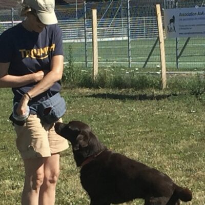 Formation Éducation canine de base débutant / pratique - AoA formation - Formation professionnelle en éducation canine, éducation canine pour particuliers, garderie pour chiens.