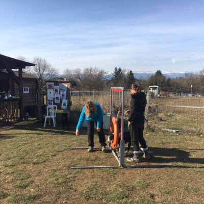 Initiation aux sports canins - AoA formation - Formation professionnelle en éducation canine, éducation canine pour particuliers, garderie pour chiens.