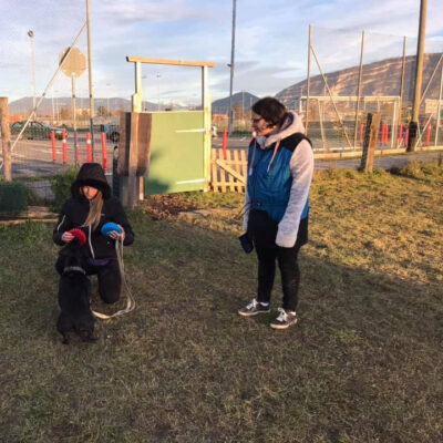 Portl games clean training - AoA formation - Formation professionnelle en éducation canine, éducation canine pour particuliers, garderie pour chiens.