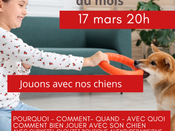 Jouer avec son chien -Webinaire du mois - AoA academy, éducation canine & formation professionnelle, Genève