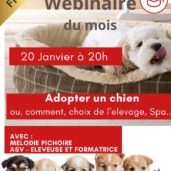 Webinaire du 20 janvier 2026 Webinaire du 20 janvier 2026