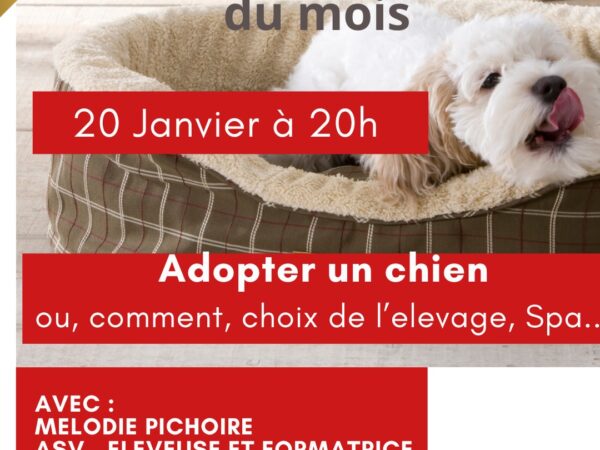 Adopter un chien: où, comment, choix de l’élevage,... Webinaire du mois - AoA academy, éducation canine & formation professionnelle, Genève