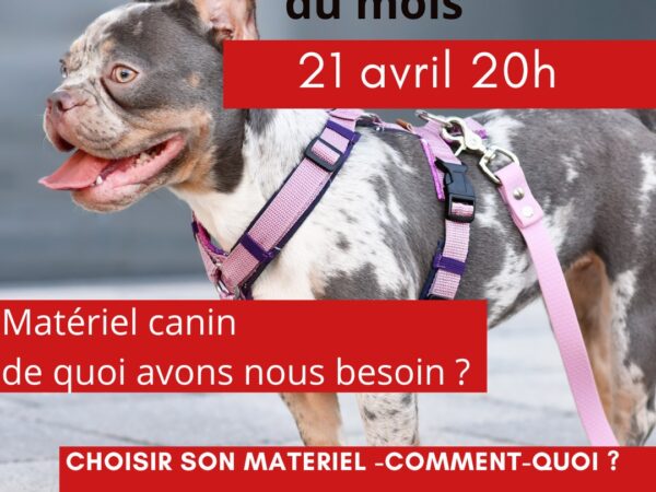 materiel -Webinaire du mois - AoA academy, éducation canine & formation professionnelle, Genève